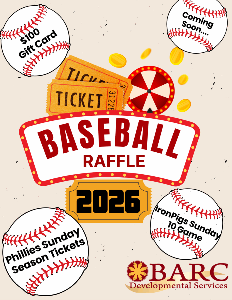 2026 baseball raffle